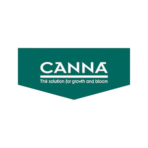 Canna