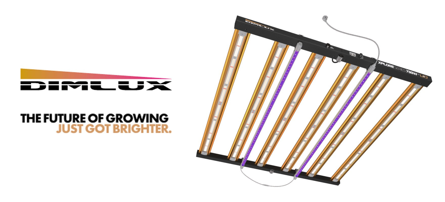 Dimlux – The future of growing just got brighter
