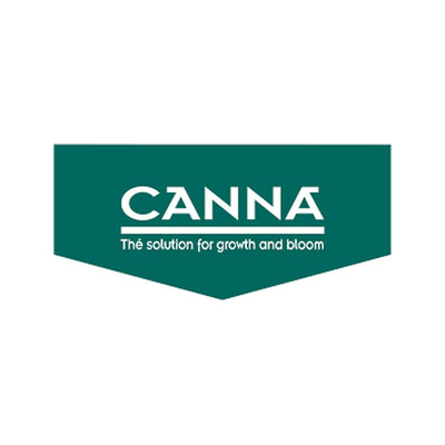 Canna