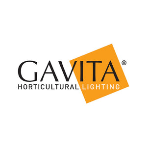 Gavita