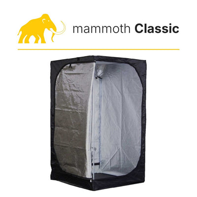 Mammoth Classic