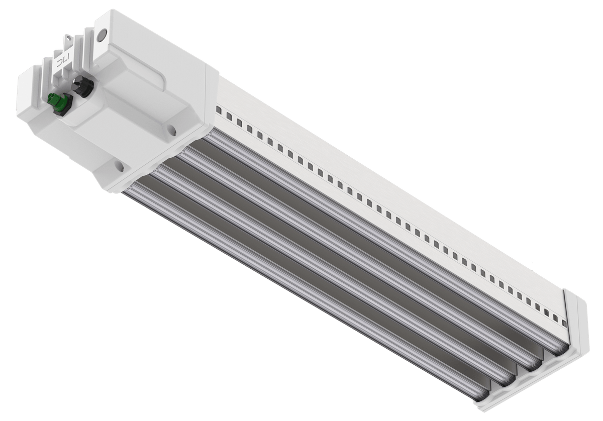 DLI Zenith 900 W LED 208-400 V FS DC