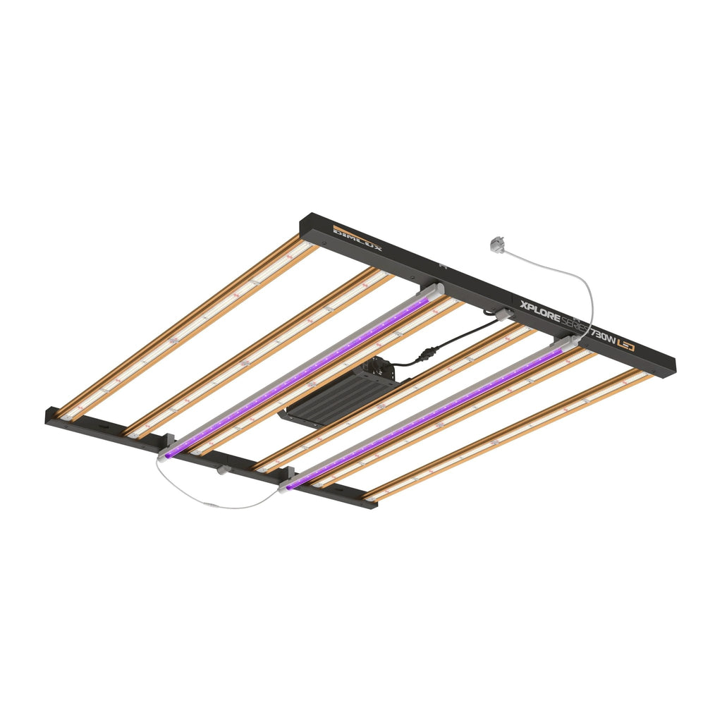 DimLux Xplore Series NIR+UV Add On 2 x 25 W