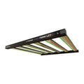 DimLux Xtreme Series LED 750 W +NIR