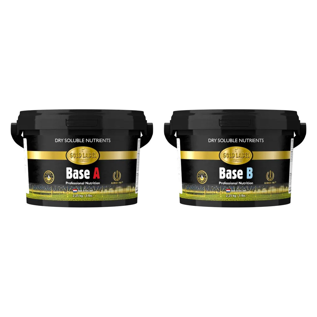Gold Label Dry Base A/B Set 0.68 kg