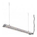 Hortimol 40 W LED