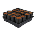 NutSystem Origin 16 XXL