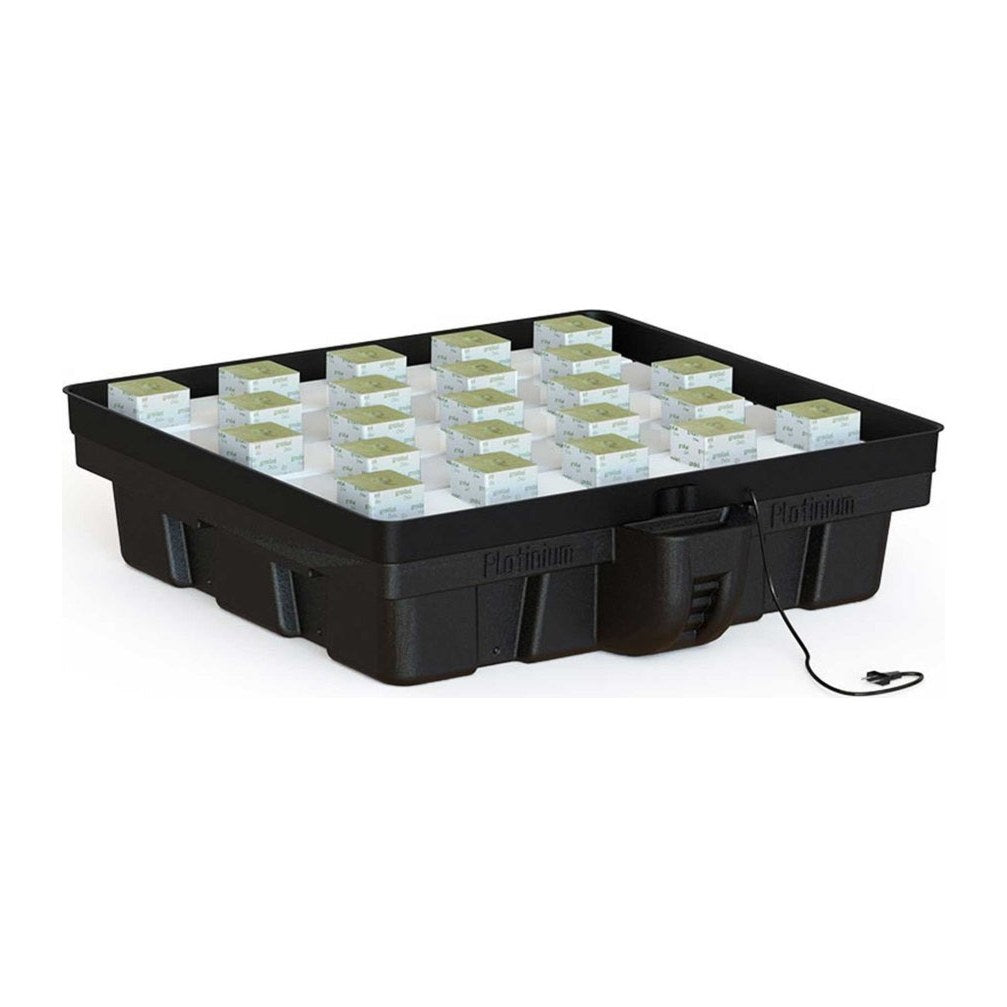 Platinium Ebbe/Flut 100