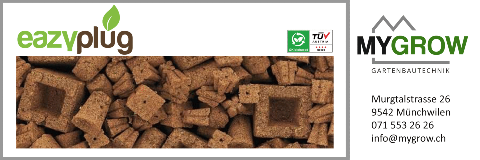 Eazy Plug Anzuchtwürfel bei MYGROW